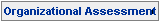 Organizational Assessment