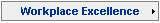 Workplace Excellence